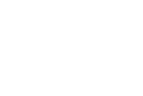 Loner Labs